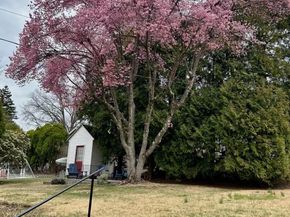 204 Runnymede Avenue, Jenkintown PA 19046