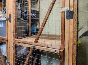 1300 Army Navy Drive 510, Arlington VA 22202