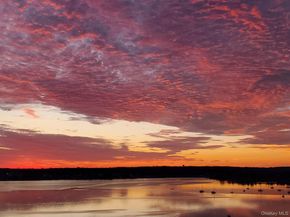 1805 215th Street 12F, Bayside NY 11360