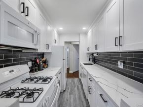 2 Birchwood Court 3D, Mineola NY 11501