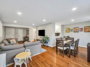 2 Birchwood Court 3D, Mineola NY 11501