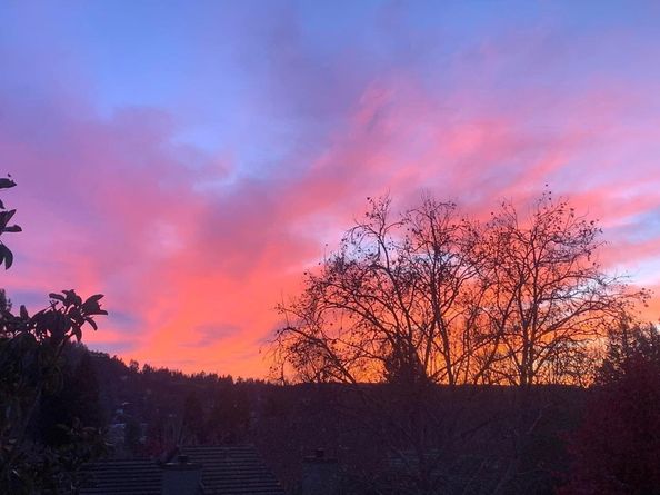 111 Bean Creek Road 186, Scotts Valley CA 95066