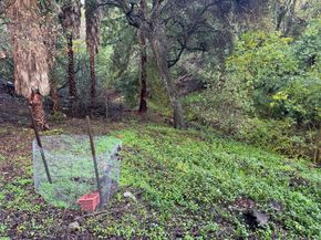 15050 Oriole Road, Saratoga CA 95070