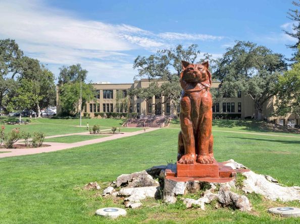 209 Nob Hill Way, Los Gatos CA 95032