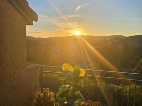 775 Watson Canyon Court 240, San Ramon CA 94582