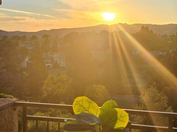 775 Watson Canyon Court 240, San Ramon CA 94582