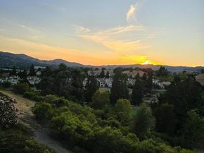 775 Watson Canyon Court 240, San Ramon CA 94582