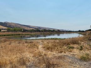 7347 Forsum Road, San Jose CA 95138