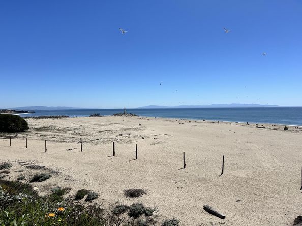 211 2nd Avenue, Santa Cruz CA 95062