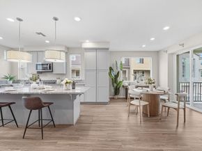 408 Desert Holly Street, Milpitas CA 95035