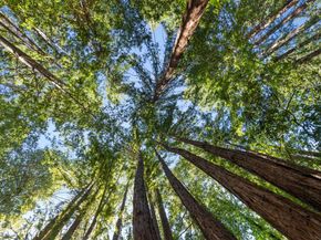 26650 Soquel San Jose Road, Los Gatos CA 95033