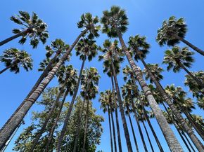 88 Bush Street 1101, San Jose CA 95126