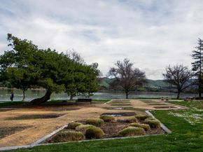 3674 Oakwood Terrace 302, Fremont CA 94536