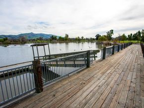 3674 Oakwood Terrace 302, Fremont CA 94536