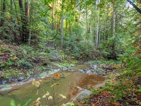 17710 Bear Creek Road, Boulder Creek CA 95006