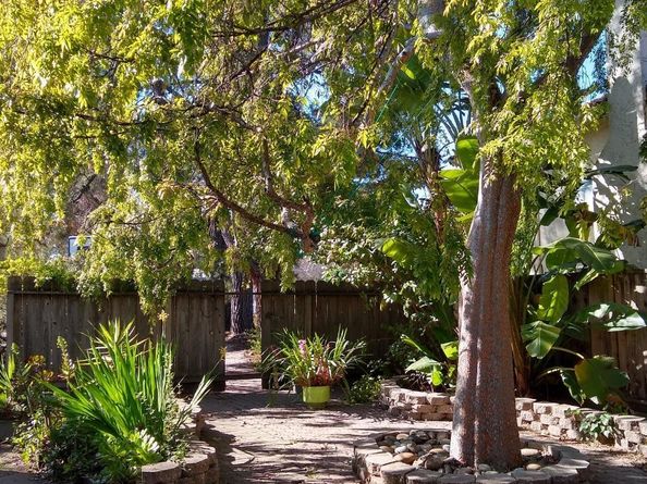21851 Almaden Avenue, Cupertino CA 95014