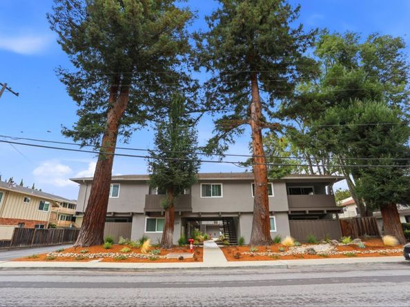 Easy, Mountain View CA 94043