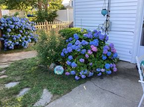 36 Wankinquoah Ave, Wareham MA 02571