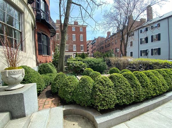 61 Mt Vernon St A, Boston MA 02108