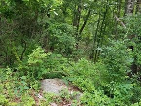 186 Spring St, Hopkinton MA 01748