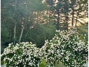 96 Plantation Drive, Duxbury MA 02332