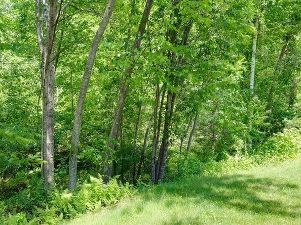 89 Buttercup Lane 255, Grafton MA 01560