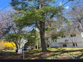 48 Spring Ln, Sharon MA 02067