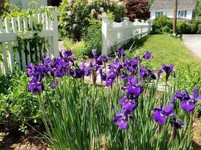 2380 Massachusetts Ave, Lexington MA 02421