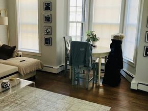 11 Dartmouth Pl 2, Boston MA 02116