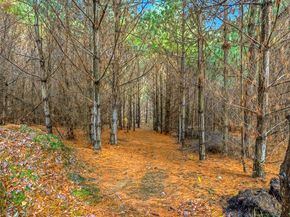 185 Prairie St, Northbridge MA 01534