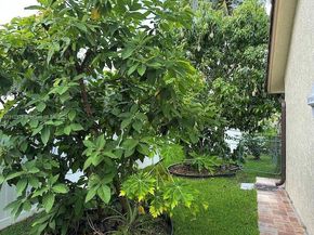 16295 NW 9th Dr, Pembroke Pines FL 33028