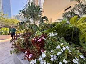 700 NE 24th St 606, Miami FL 33137