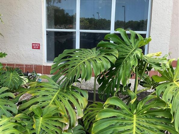 3320 N Pinewalk Dr N 1715, Margate FL 33063