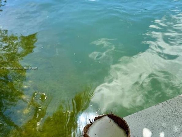 4812 Pine Tree Dr 204, Miami Beach FL 33140