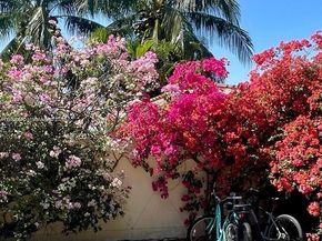 4812 Pine Tree Dr 204, Miami Beach FL 33140