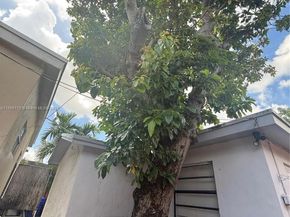 810 NW 24th Ct, Miami FL 33125