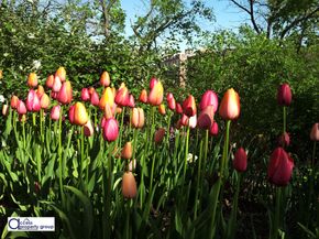 98 Park Terrace E 4E, New York NY 10034