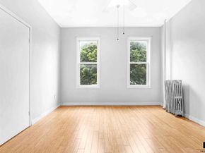166A Hull Street, Brooklyn NY 11233