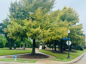 7308  Summer Glen Drive , McKinney Texas 75072