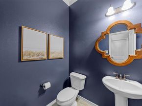 1121  Seclusion Cove Drive , McKinney Texas 75072