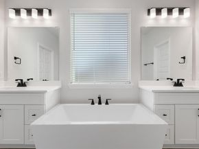 4145  Blackbird Avenue , Little Elm Texas 75068