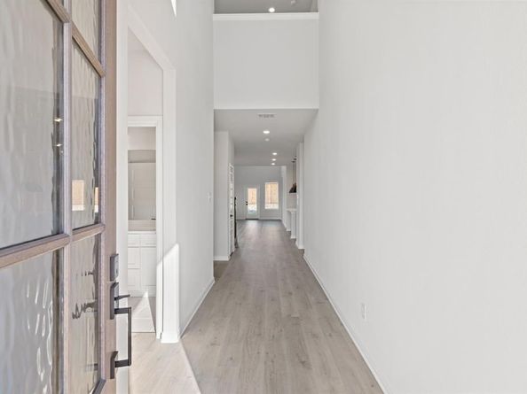 4145  Blackbird Avenue , Little Elm Texas 75068