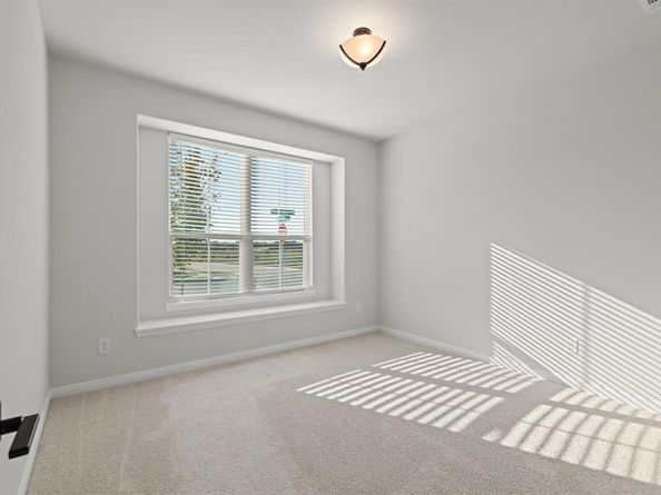 4145  Blackbird Avenue , Little Elm Texas 75068