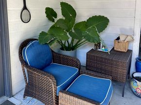 17446  Energy Lane , Dallas Texas 75252