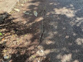 926  Key Colony Drive , Garland Texas 75043