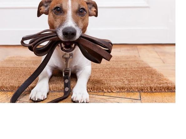 5200  Keller Springs Road  537, Dallas Texas 75248