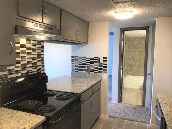 919 S Weatherred Drive  206, Richardson Texas 75080