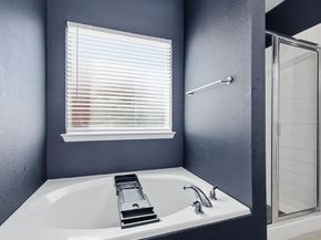 4314  Windmill Hill Circle , Corinth Texas 76208