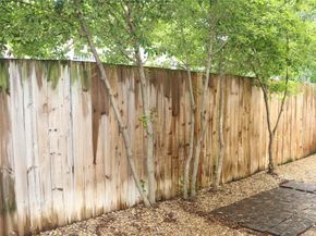 3718  Dorothy Avenue , Dallas Texas 75209