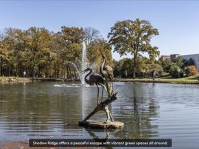 1625  Tree Line Road , Flower Mound Texas 75028